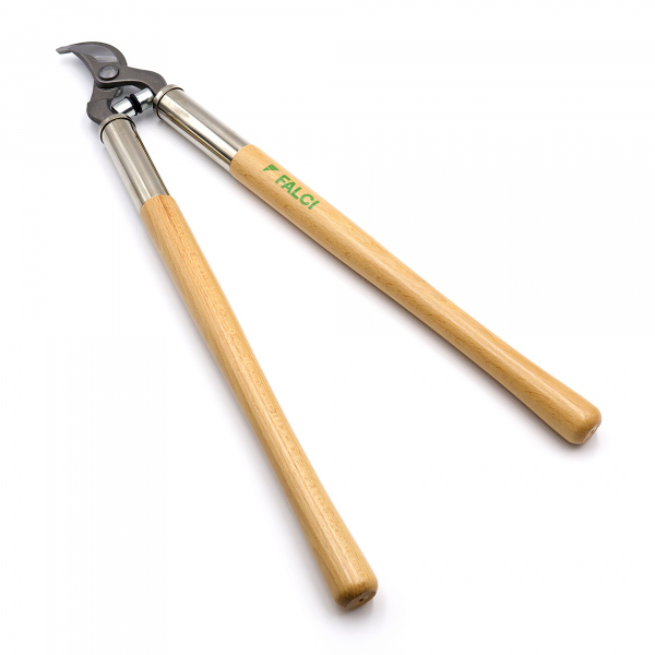 Klassische Bypass-Astschere